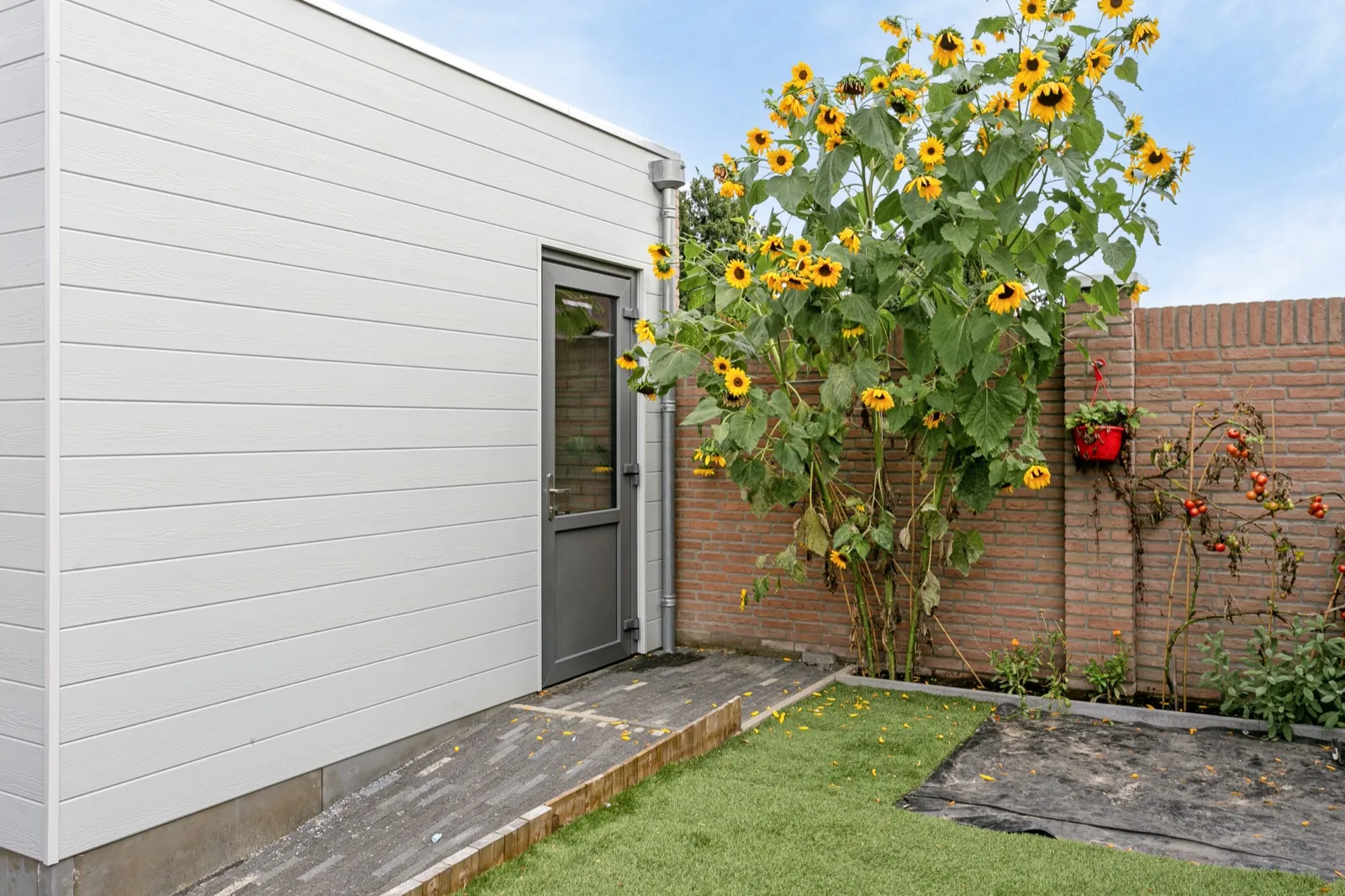 Woning Rijen, foto 16